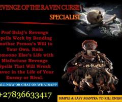 Voodoo Revenge Spells to Inflict Serious Harm on Someone Who Hurt You (WhatsApp: +27836633417)